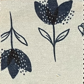 Tulipan Azul