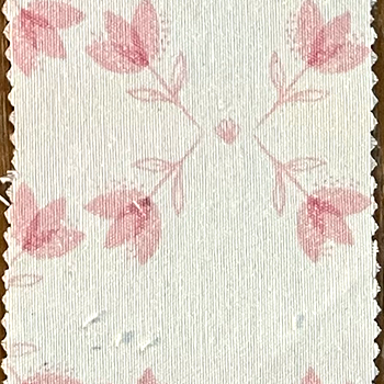 Tulipan Trenzado Rosa